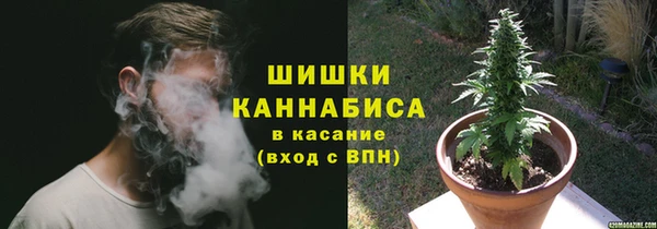 прущие крисы Балахна
