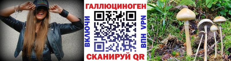 Псилоцибиновые грибы Magic Shrooms  Стрежевой 